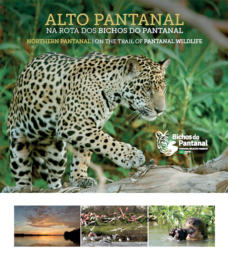 Ebook – Alto Pantanal, na rota dos Bichos do Pantanal